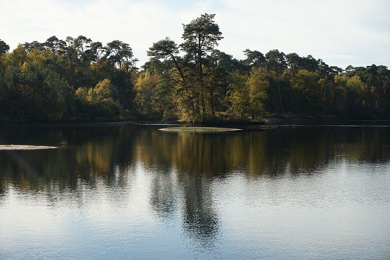 Oisterwijk 2.jpg - Oisterwijk